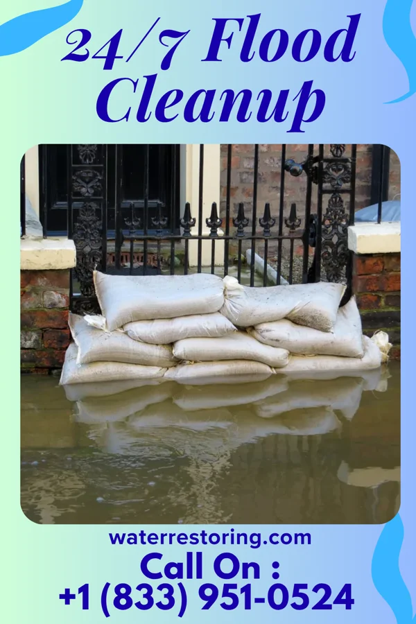 24/7 Flood Cleanup in Ettrick, VA