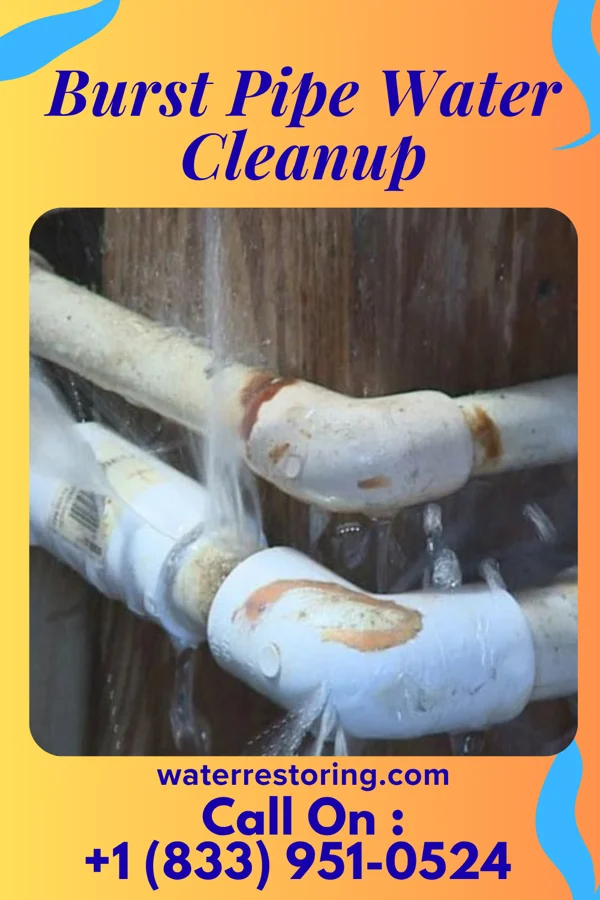 Burst Pipe Water Cleanup in Ettrick, VA