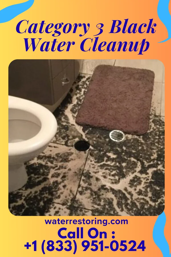Category 3 Black Water Cleanup in Ettrick, VA