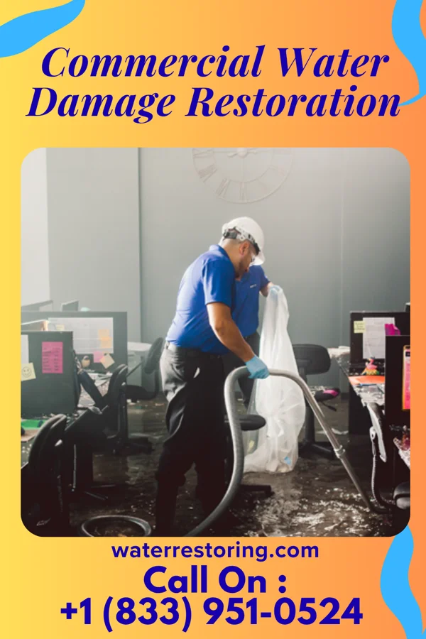 Commercial Water Damage Restoration in Ettrick, VA