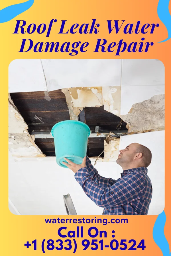 Roof Leak Water Damage Repair in Ettrick, VA