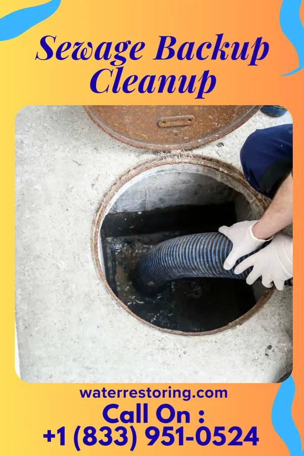 Sewage Backup Cleanup in Ettrick, VA
