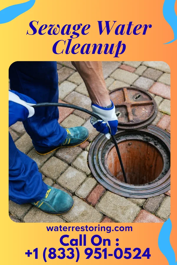 Sewage Water Cleanup in Ettrick, VA